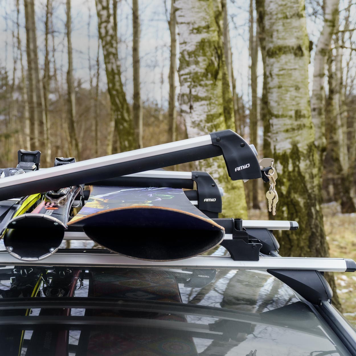 Skiholder til ski og snowboards på bil