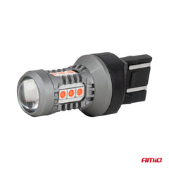 Rode 12/24 V LED-lamp met 7443-fitting